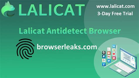 Browserleaks